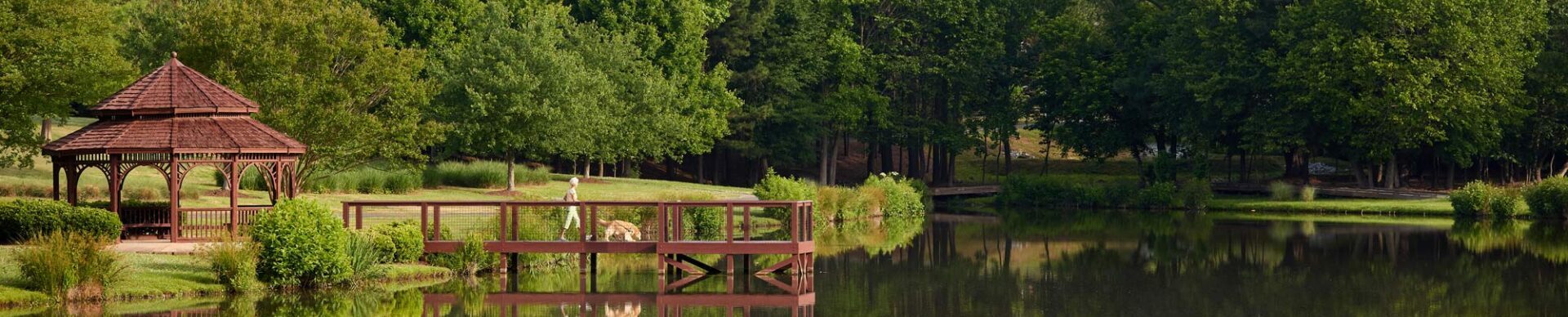 resident walking their dog lakeside