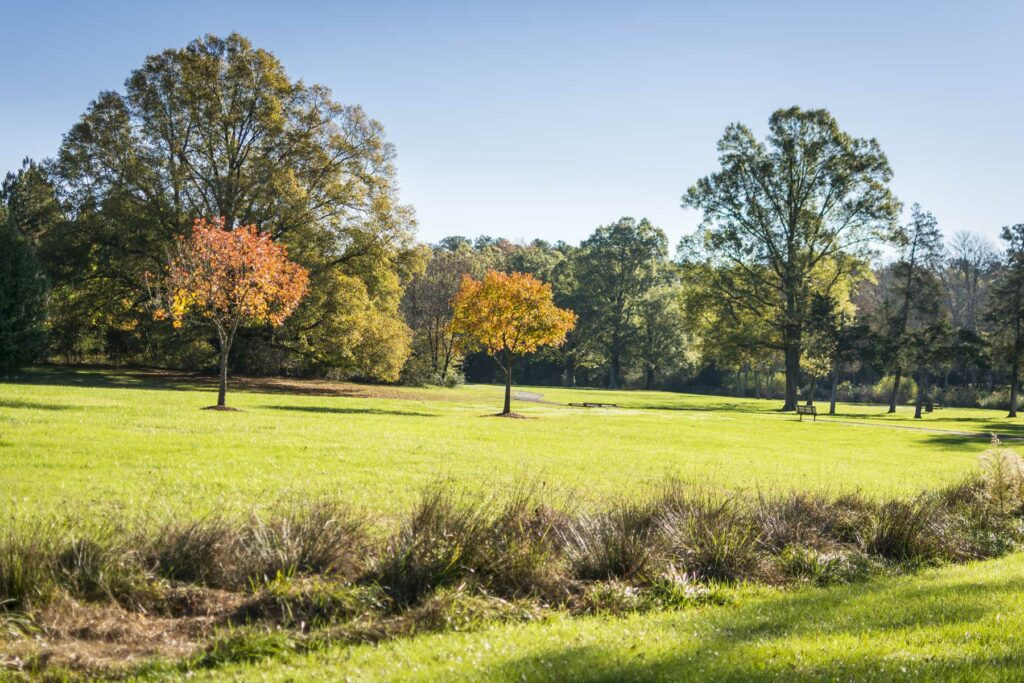 Sprawling green grass dotted with trees at Croasdaile Village in Durham, NC, near Hillsborough